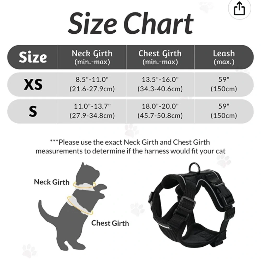 N/A rabitgoo small